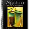 Solutions Manual for Algebra Pure and Applied 1st Edition by Papantonopoulou