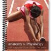 Solutions Manual for Anatomy and Physiology with Integrated Study Guide 5th Edition by Gunstream