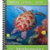 Solutions Manual for Basic College Mathematics 3rd Edition by Miller