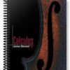 Solutions Manual for Calculus 5th Edition by James Stewart