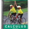 Solutions Manual for Calculus Late Transcendentals Combined 8th Edition by Anton