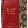 Solutions Manual for Chemical Principles in the Laboratory 9th Edition by Slowinski
