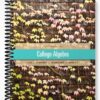 Solutions Manual for College Algebra 11th Edition by Lial