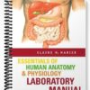 Solutions Manual for Essentials of Human Anatomy & Physiology Lab Manual 3rd Edition by Marieb