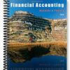Solutions Manual for Financial Accounting 10th Edition by Needles