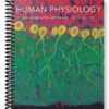 Solutions Manual for Human Physiology An Integrated Approach 5th Edition by Silverthorn