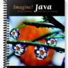 Solutions Manual for Imagine! Java Programming Concepts in Context 1st Edition by Frank Carrano
