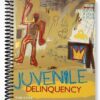 Solutions Manual for Juvenile Delinquency The Core 4th Edition by Siegel