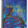 Solutions Manual for Molecular Biology 5th Edition by Weaver