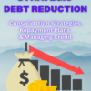 Strategic Debt Reduction