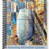 Test Bank for Accounting Information Systems 10th Edition by Bodnar