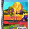 Test Bank for Beginning Algebra 10th Edition by Lial