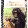 Test Bank for Biological Anthropology 2nd Edition by Stanford