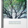 Test Bank for Derivatives 1st Edition by Sundaram