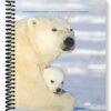 Test Bank for Environmental Science Problems Connections and Solutions 12th Edition by Miller