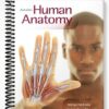 Test Bank for Human Anatomy 3rd Edition by McKinley