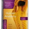Test Bank for Human Anatomy Media Update 6th Edition by Marieb