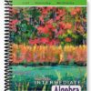Test Bank for Intermediate Algebra 10th Edition by Lial