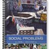 Test Bank for Social Problems 4th Edition by Macionis