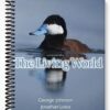 Test Bank for The Living World 6th Edition by Johnson