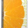 Test Bank for The Science of Psychology An Appreciative View 2nd Edition by King